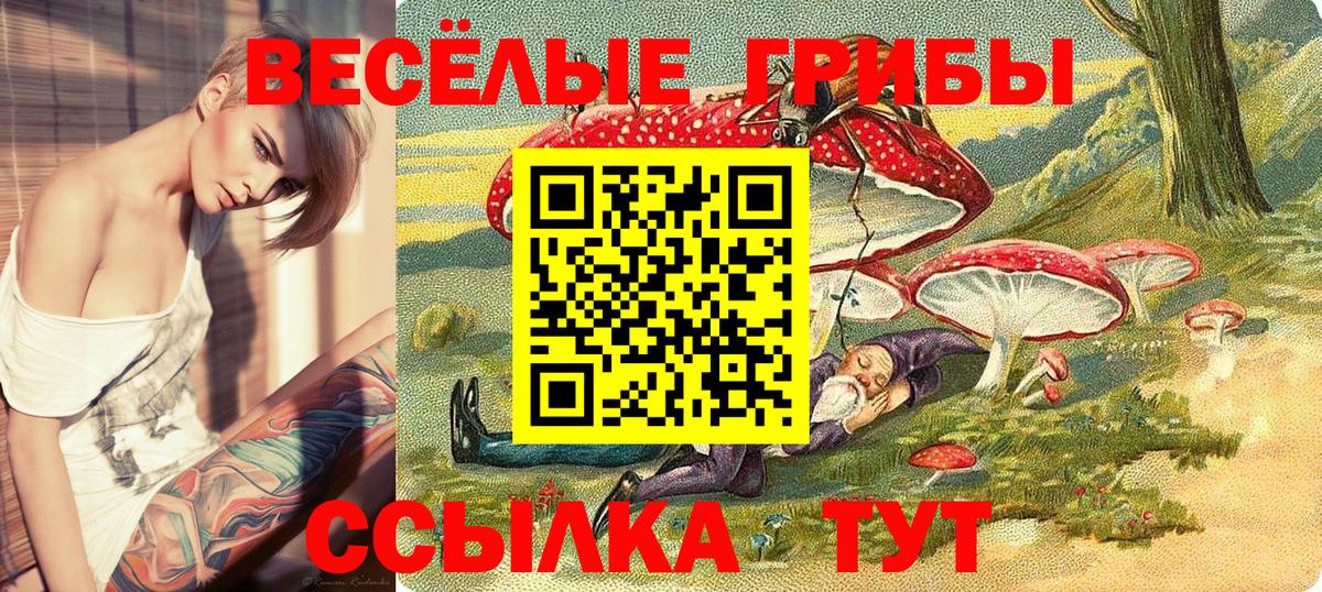 NBOMe  Гашиш  Каннабис  Красногорск  Бошки Шишки  Меф   КЕТАМИН  Вход с VPN 