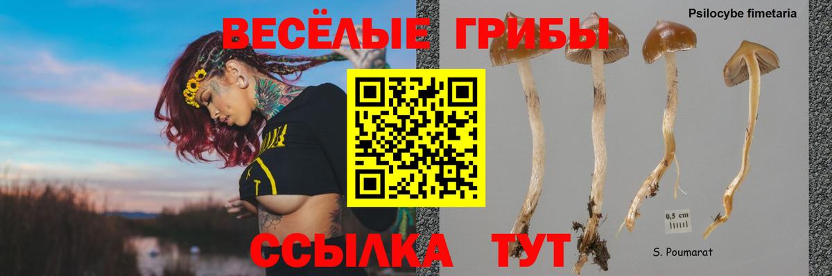 даркнет сайт  Галлюциногенные грибы мицелий  Вход с VPN  Галлюциногенные грибы Cubensis  Красногорск 